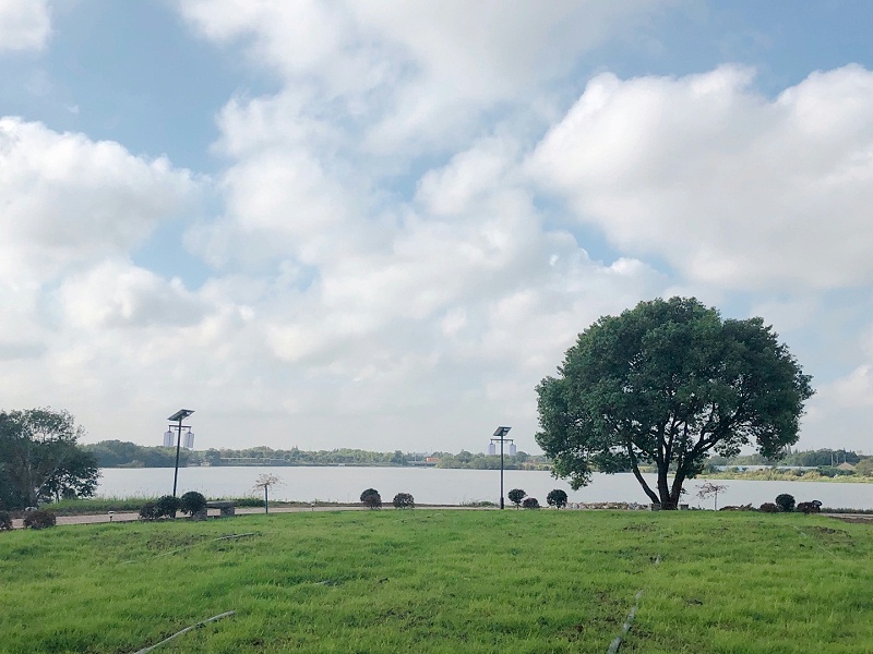 美好的（de）環境 共同的家園