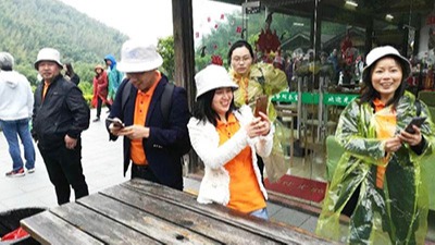 草莓视频在线观員工一日遊（yóu）——南山竹海