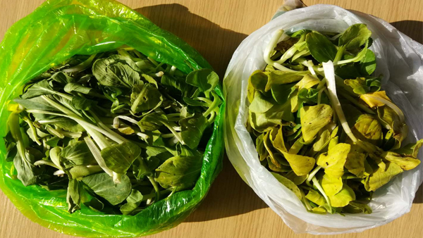 可降解塑（sù）料（liào）袋