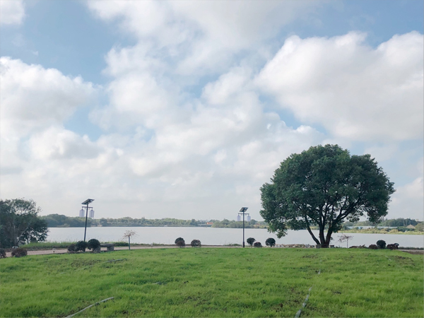 無錫草莓视频在线观環（huán）保-美麗環境